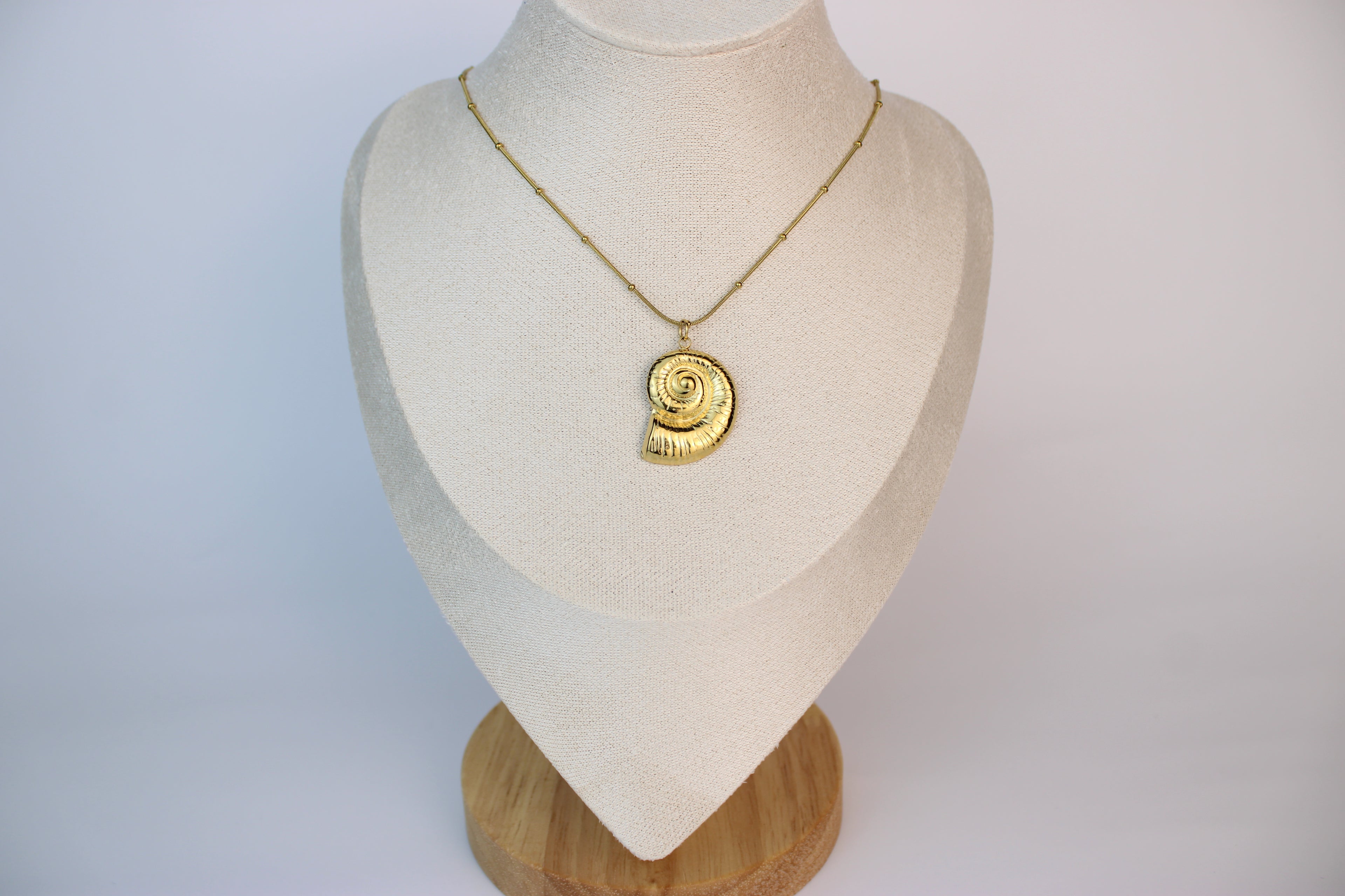 Golden Nautilus Treasure Necklace